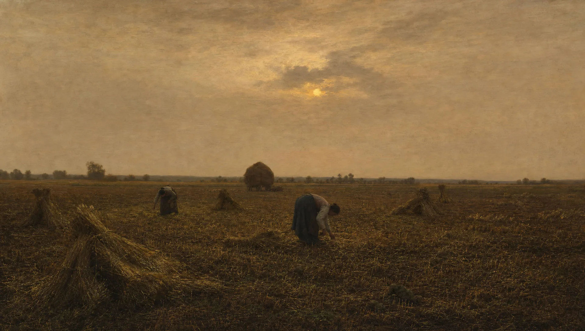 Stubble field at harvest dusk