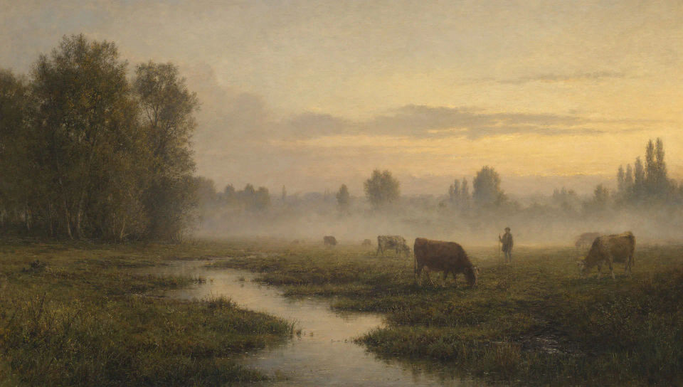Marshy meadow at dawn
