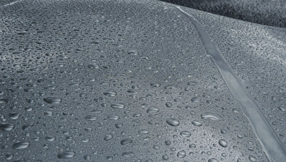 Rain-beaded car hood