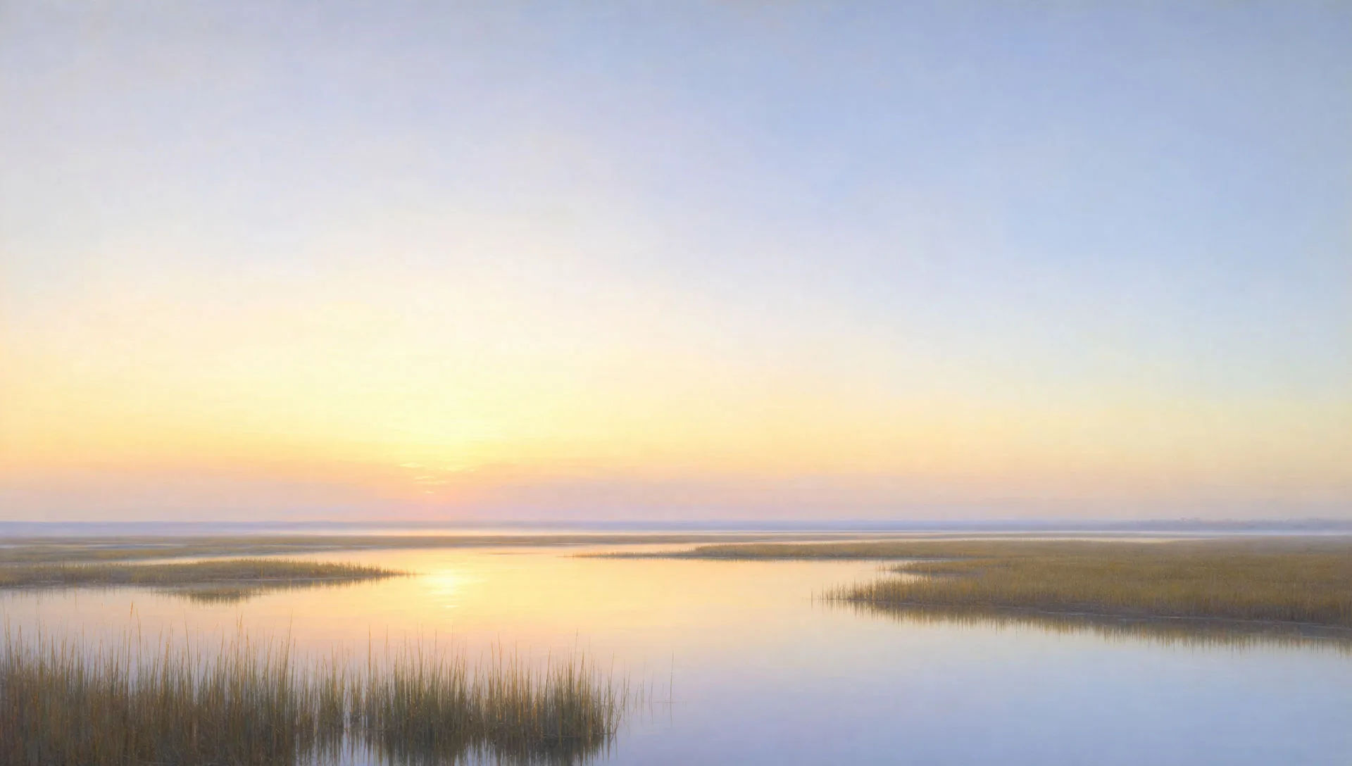 Tidal marsh under a vast sky