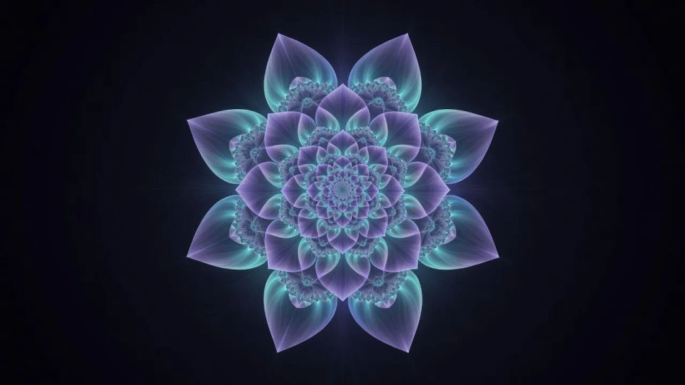 Julia bloom mandala