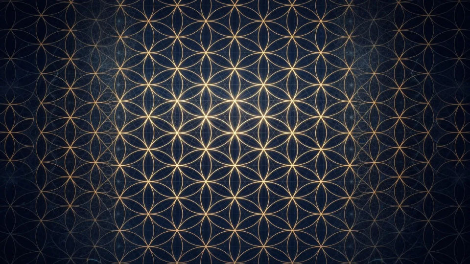 Flower of Life panel