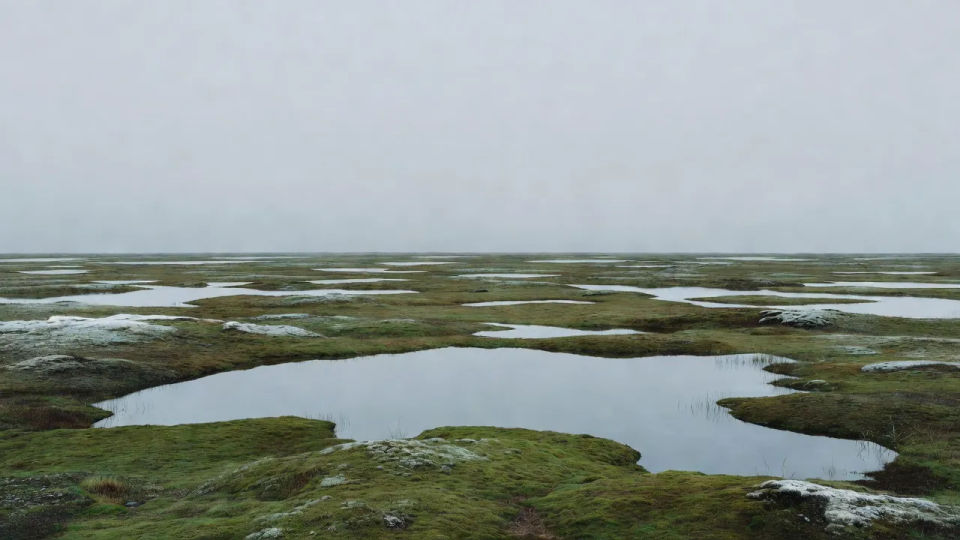 Pool-dotted plain panorama