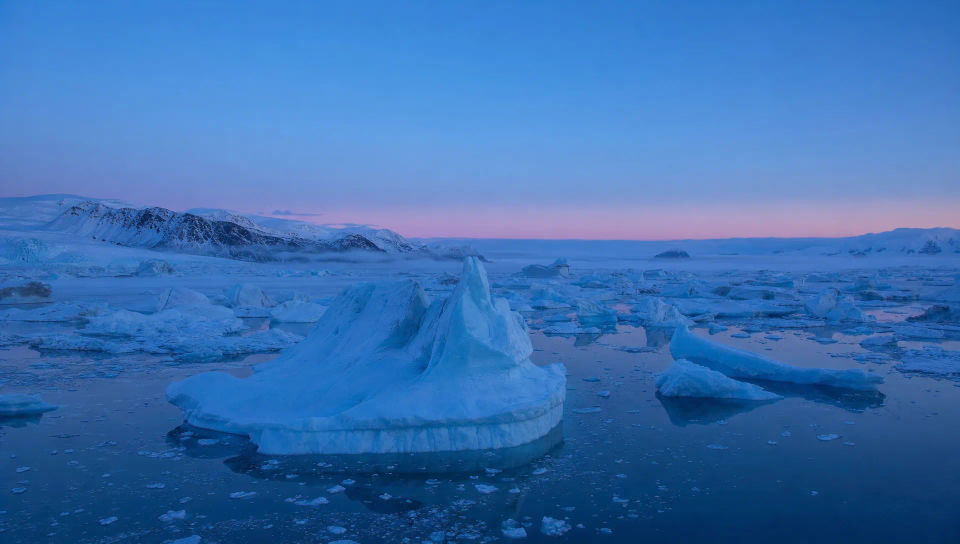 Icebergs drifting at blue hour