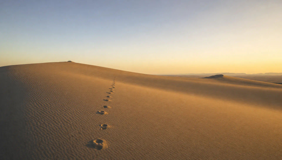 Lone footprints crossing the sand