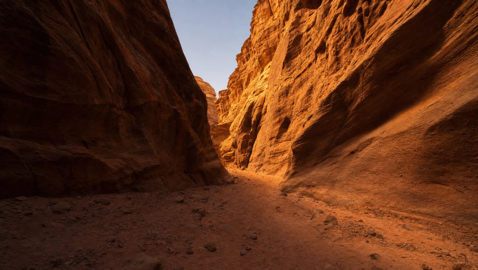 Canyon floor at golden hour