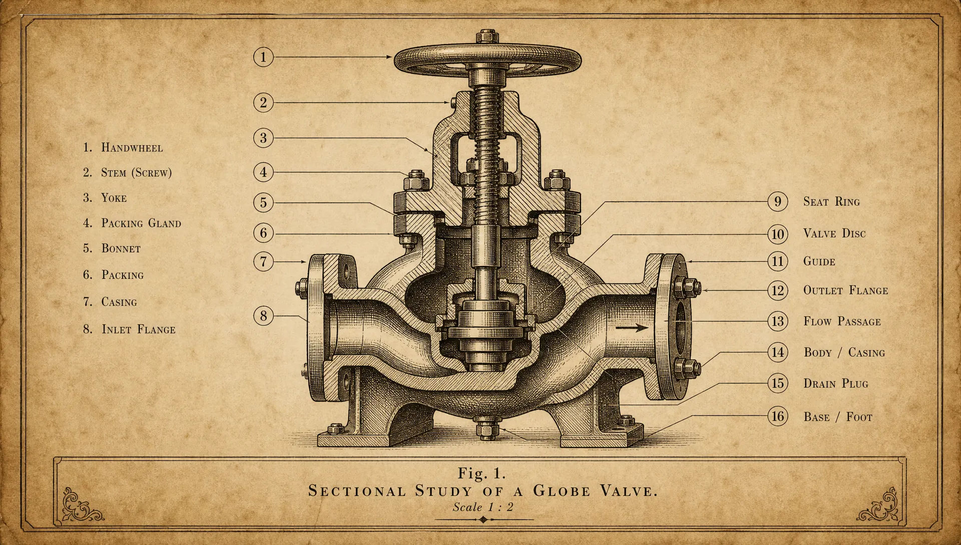 Single anatomical plate