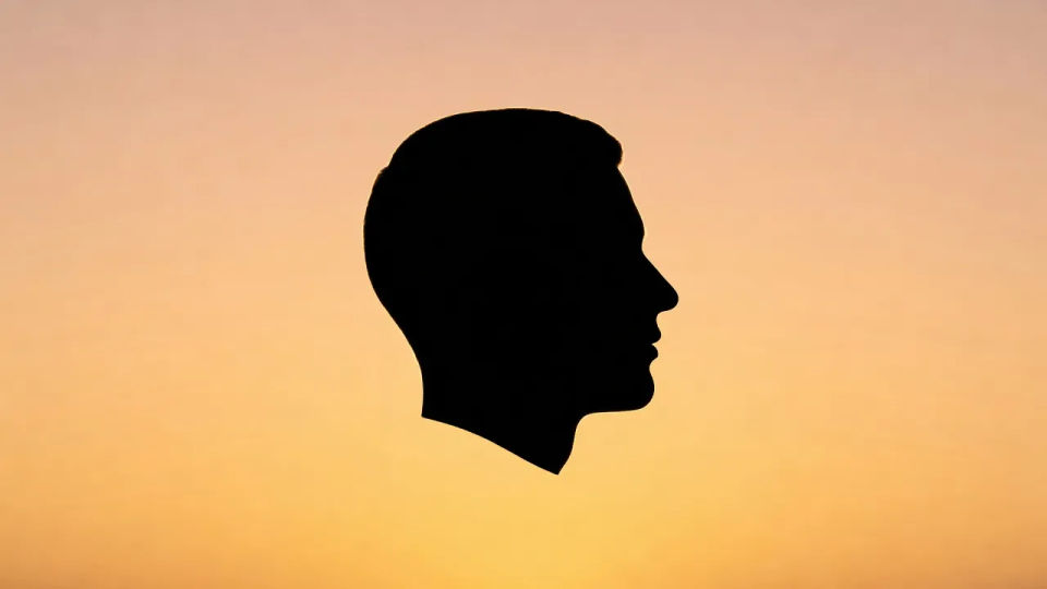 Sunset profile