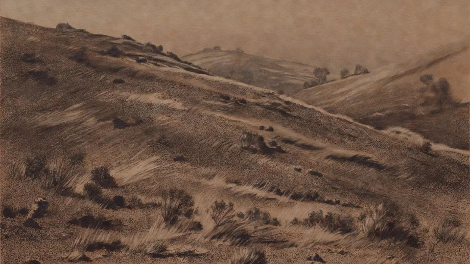Windswept hillside