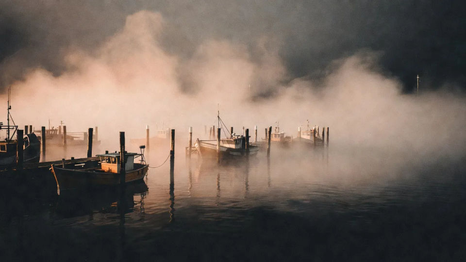 Foggy harbour at dawn