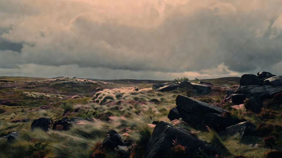 Windswept moor
