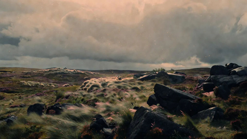 Windswept moor