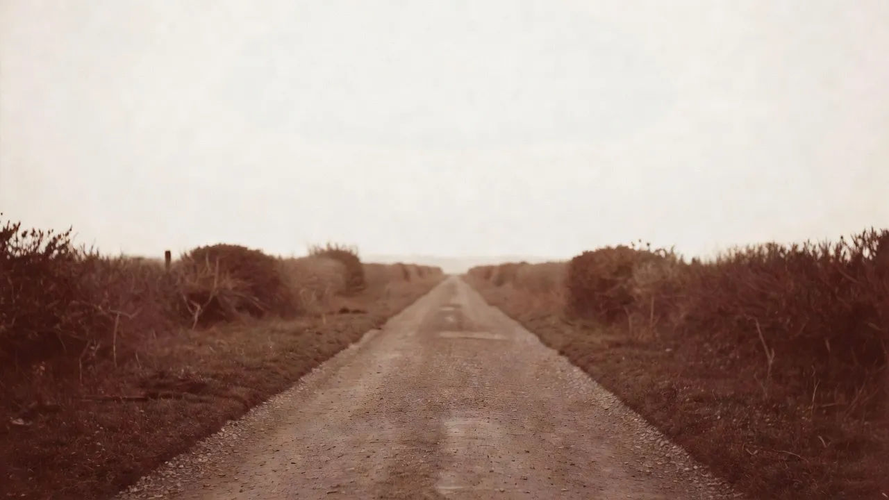 Country lane, matte brown