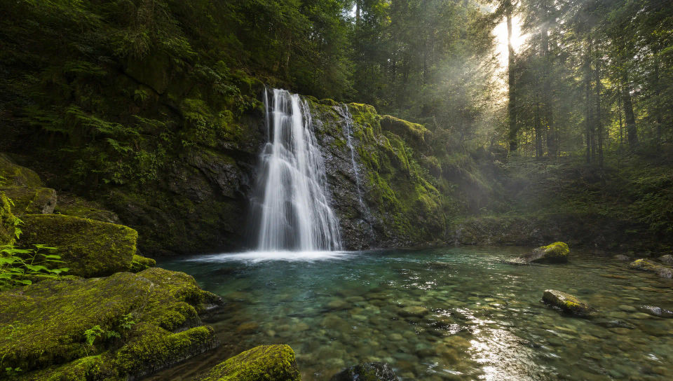 Waterfall in the woods