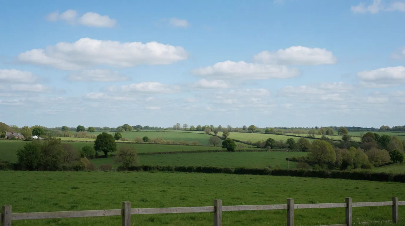 Photo resized to a wide 16:9 banner with the new space filled naturally