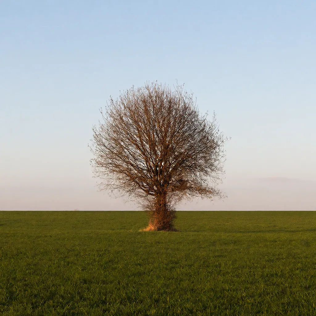 Landscape photo resized to a square post with the subject centered