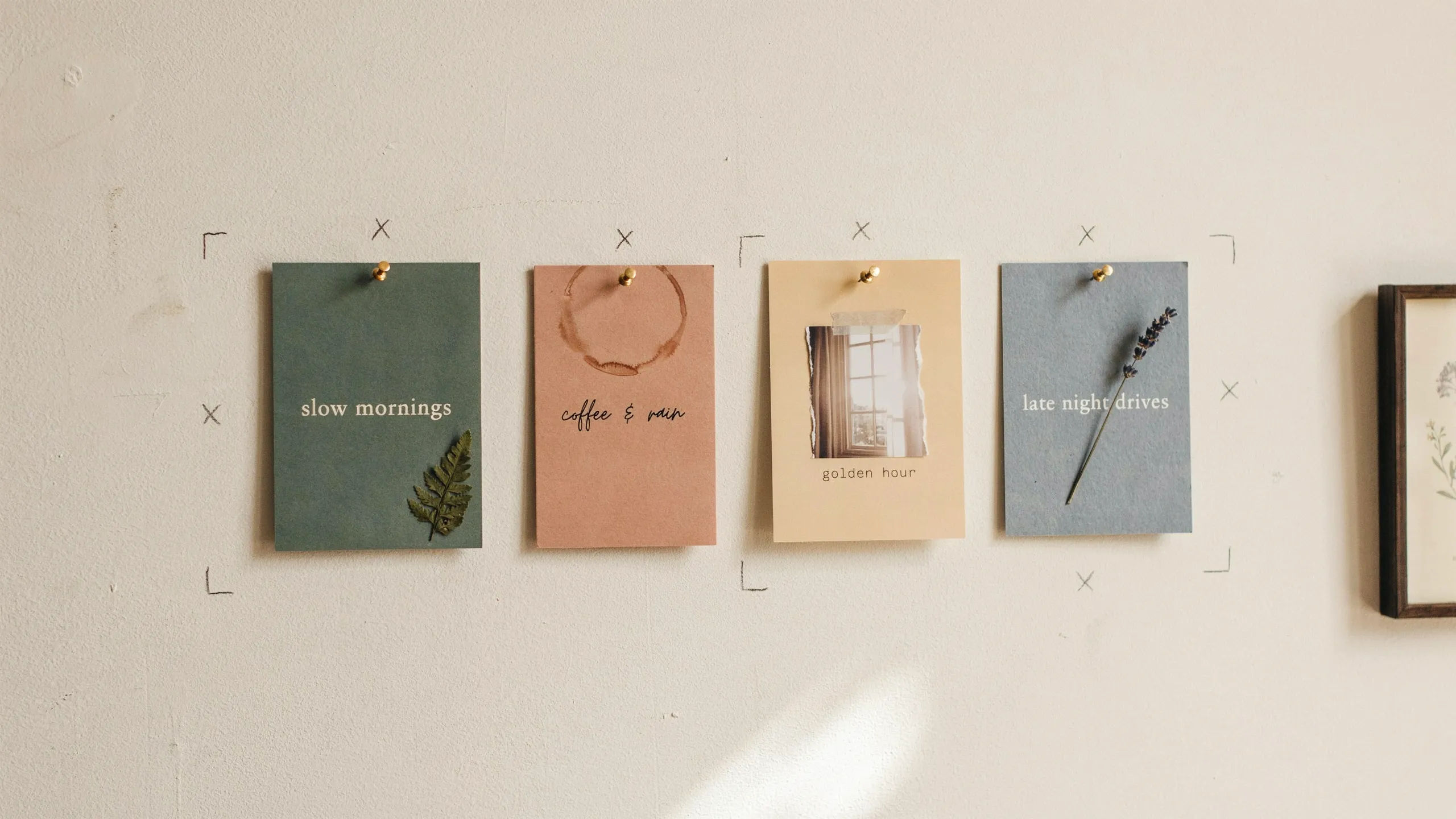 Playlists and mixtapes