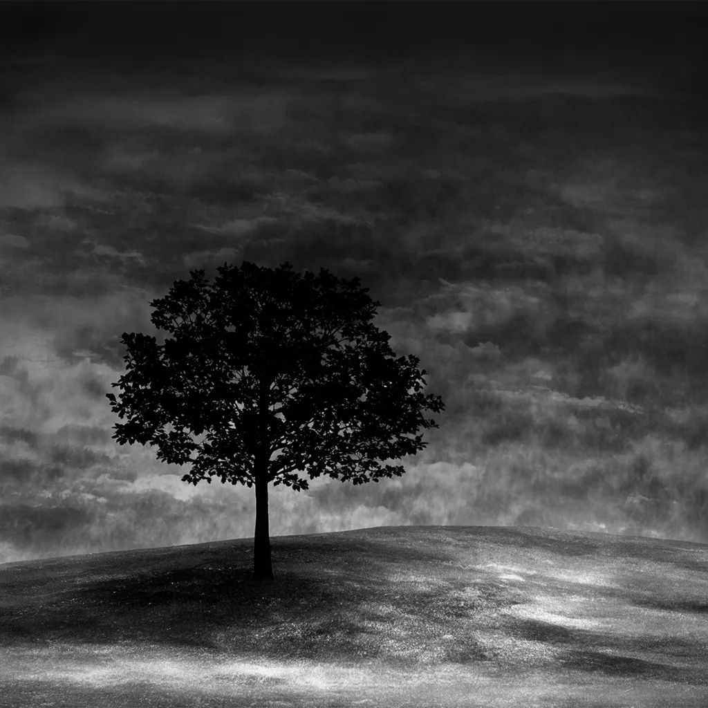 A landscape converted to black and white with a dramatic dark sky