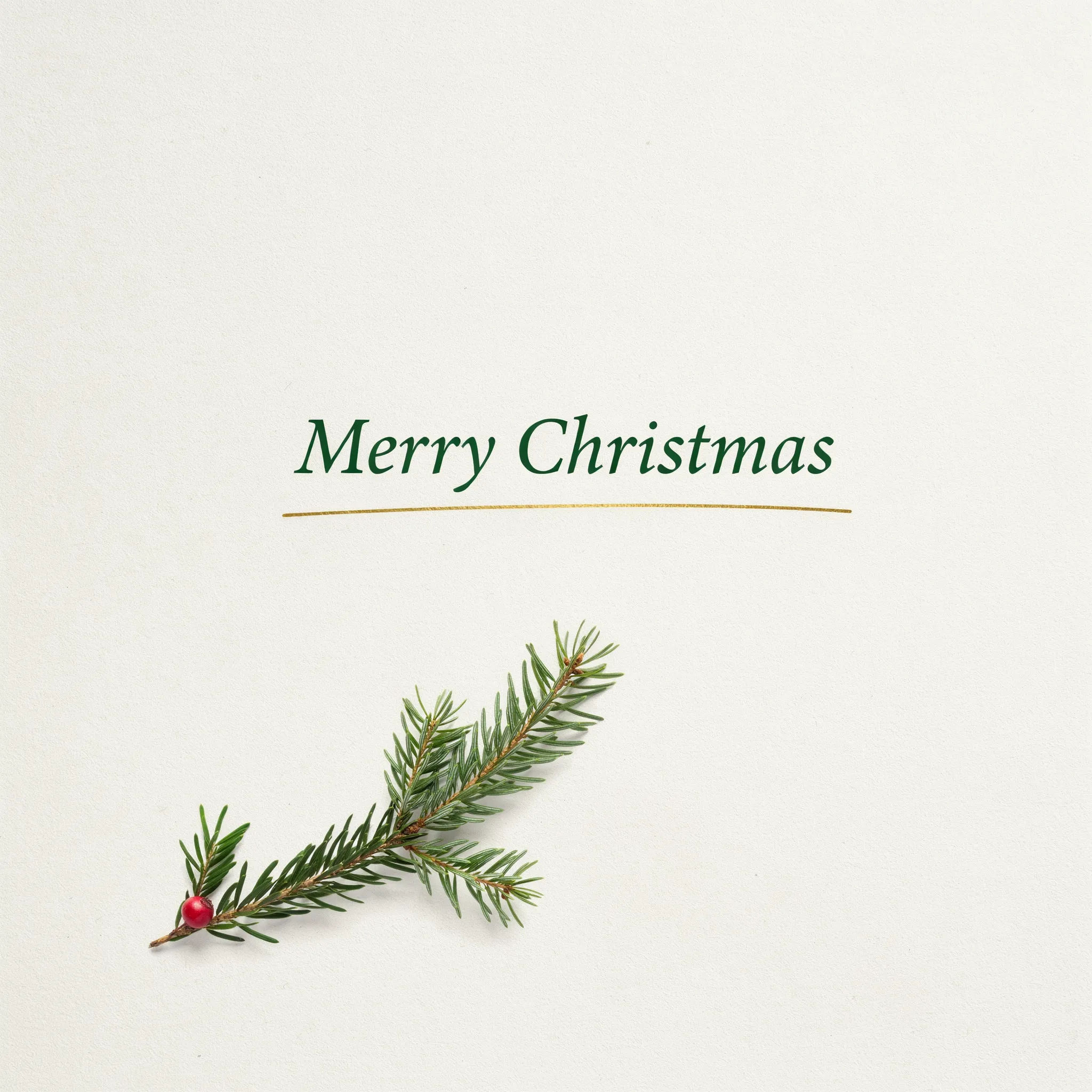 Family photo styled as an elegant minimal Christmas card