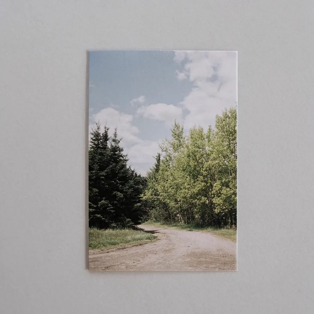 A small landscape photo converted to HD with detailed trees and sky