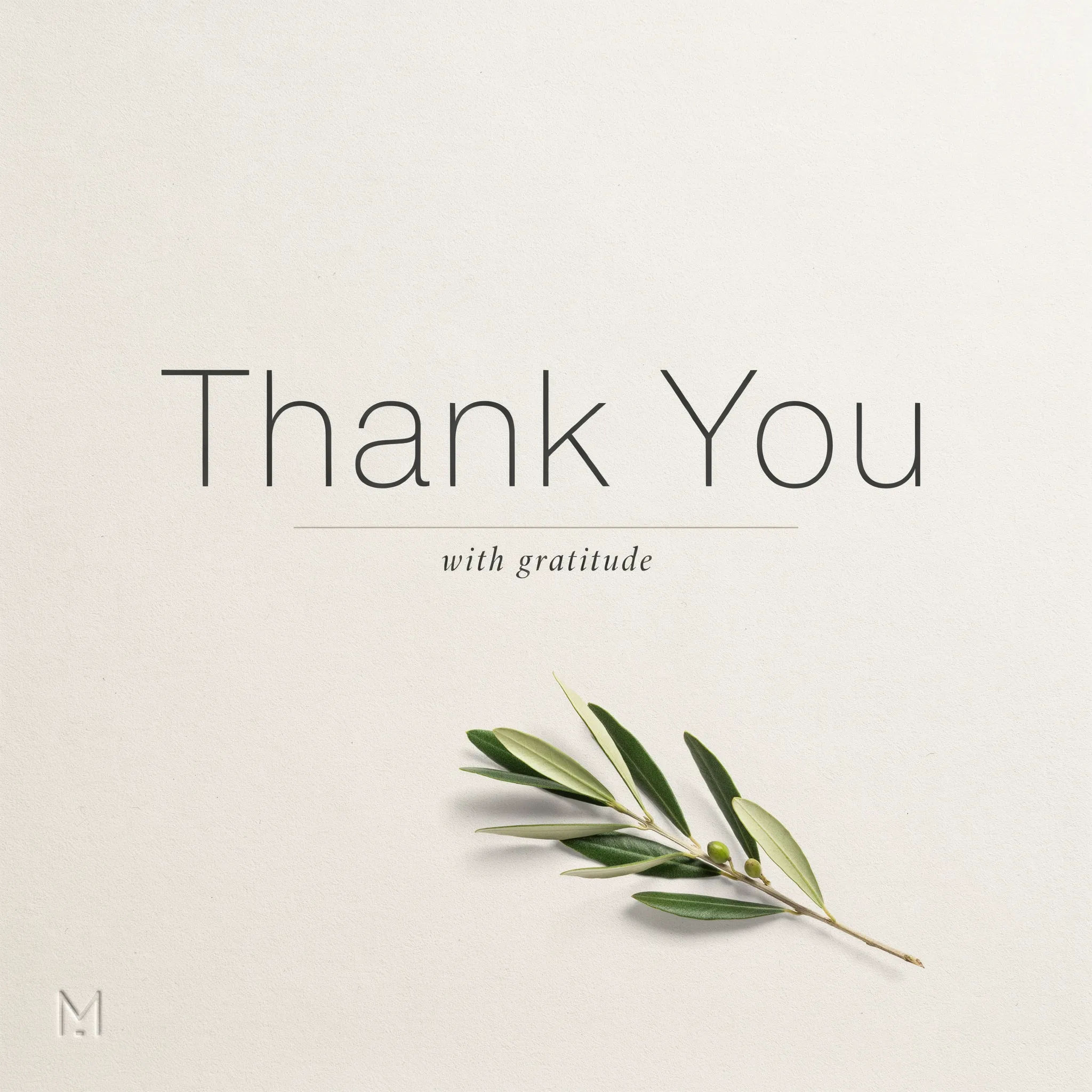 Minimal thank you card with thin type and olive sprig on warm white