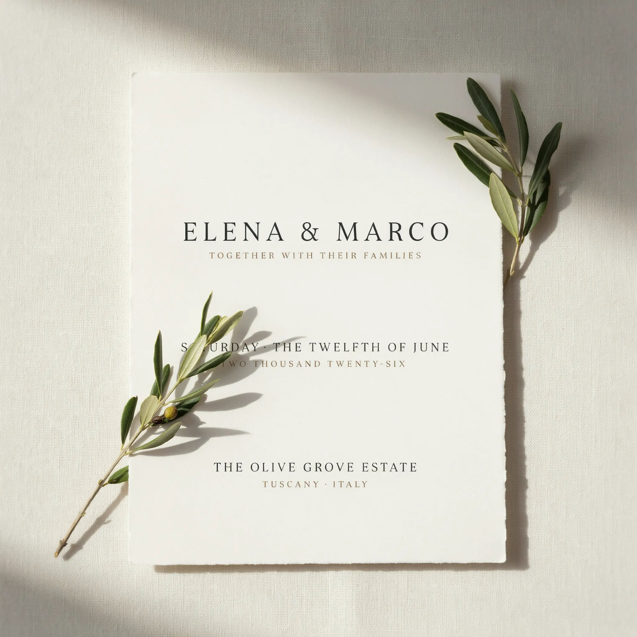 Modern minimal wedding invitation with thin type and olive branch accent