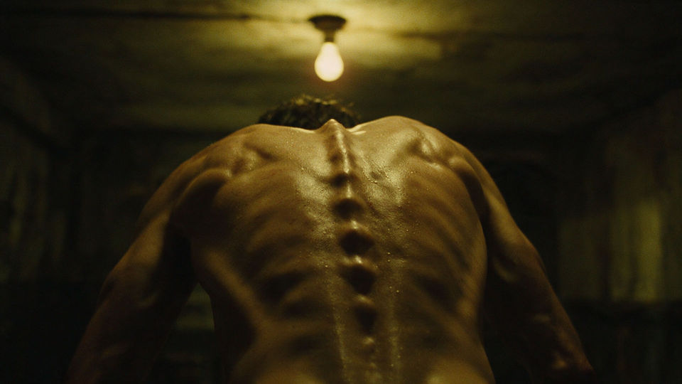 Spine under the bare bulb