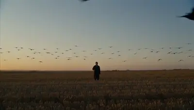Crow summon effect