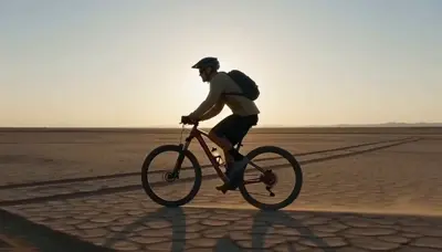 Dust transition effect