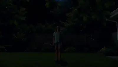 Alien abduction video