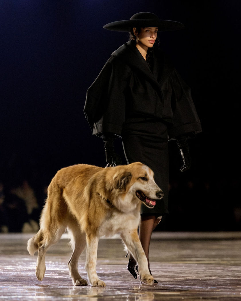 A model striding down a runway beside a large animal, both moving in sync