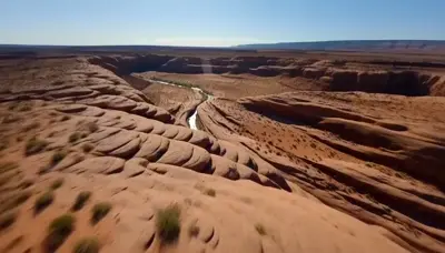 AI FPV flight effect