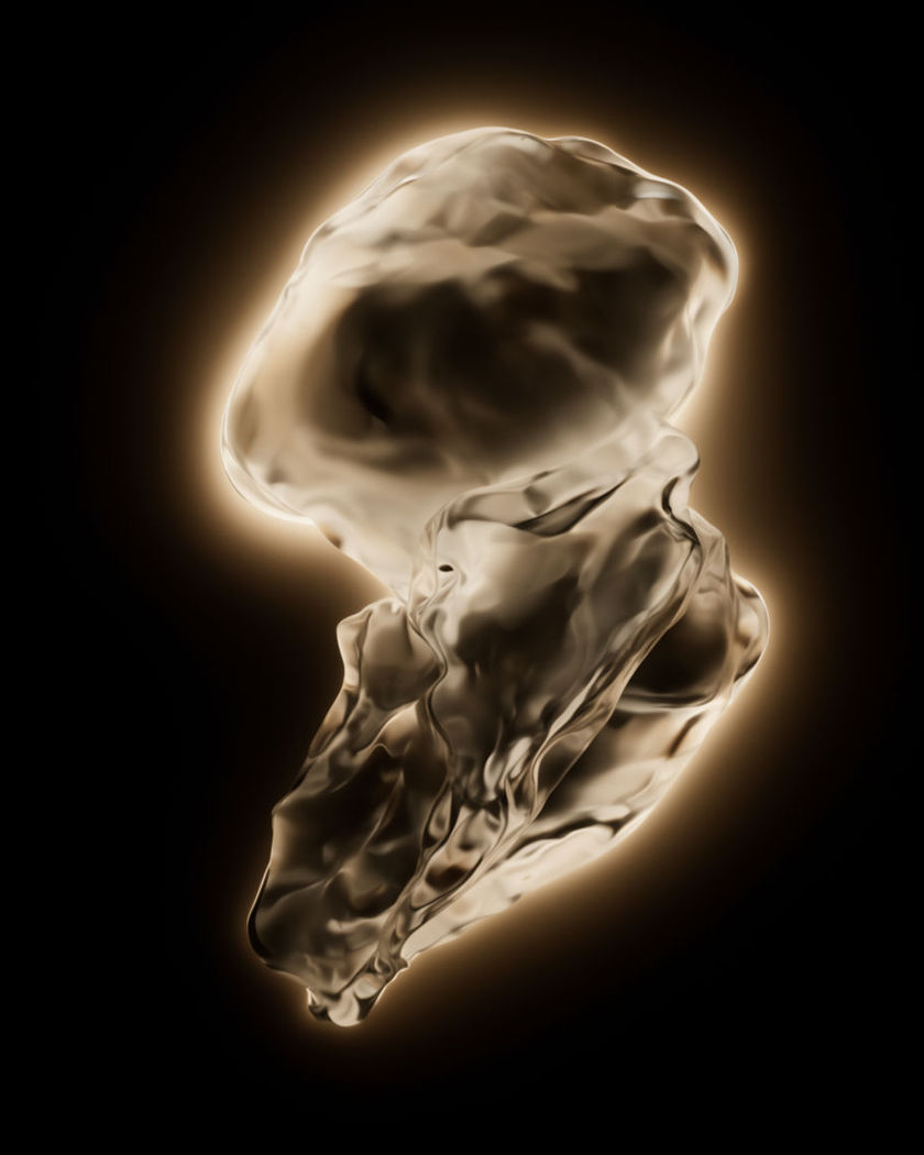 A single glass form catching a warm golden rim of light against a pure black ground, a soft halo blooming behind it