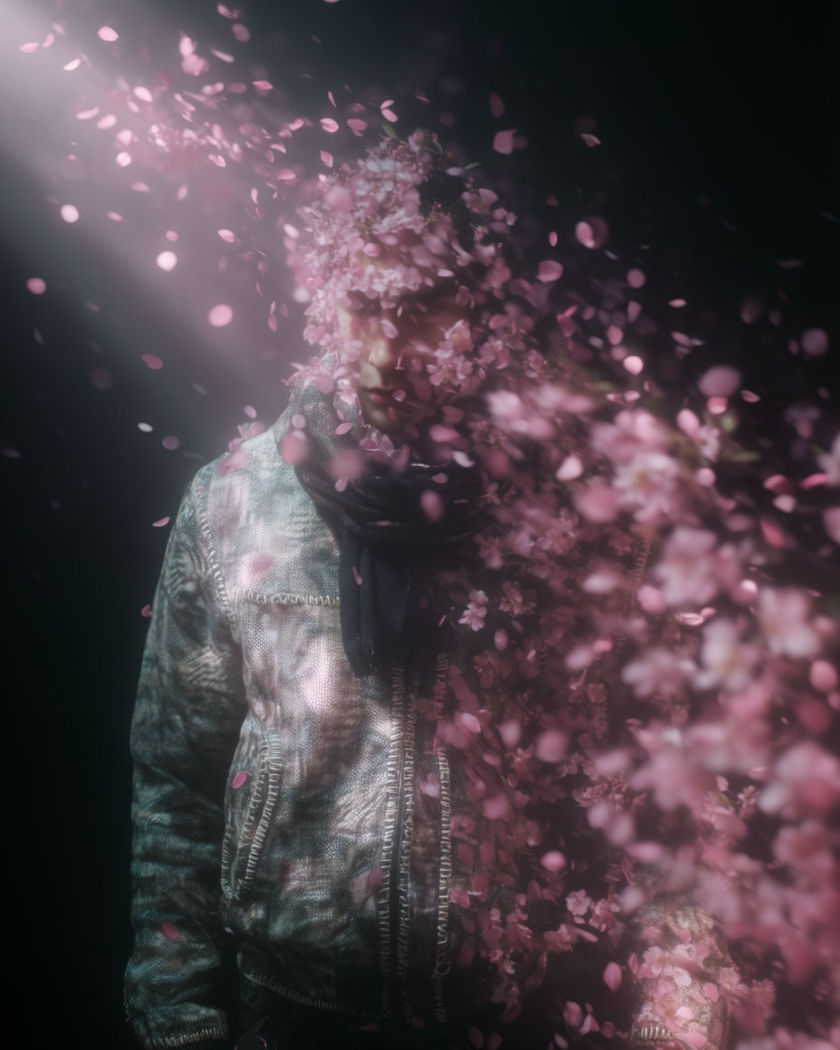 A figure dissolving at the edges into a drift of pink cherry blossom petals carried off on the wind