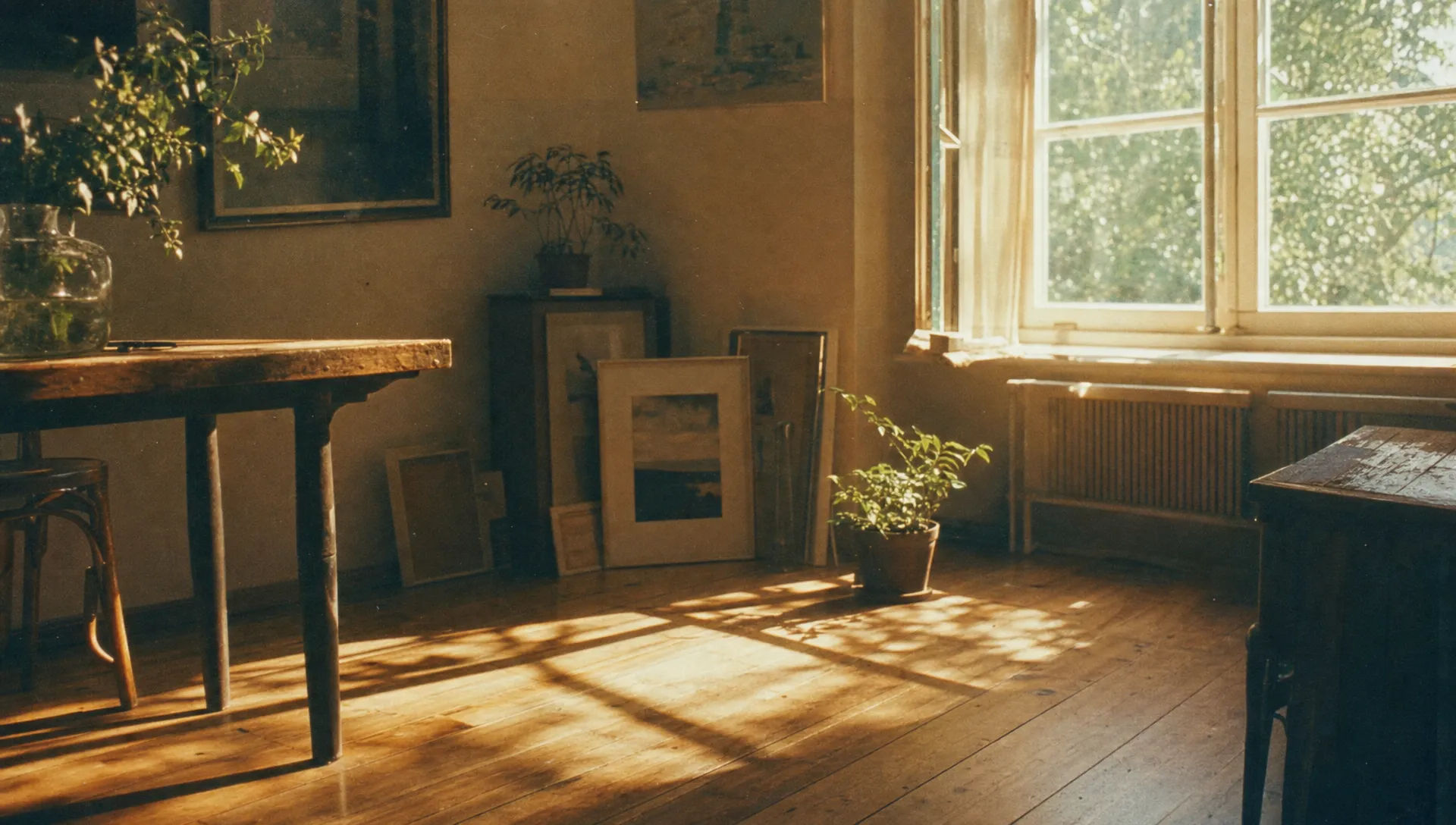 Sunlit window-side film set