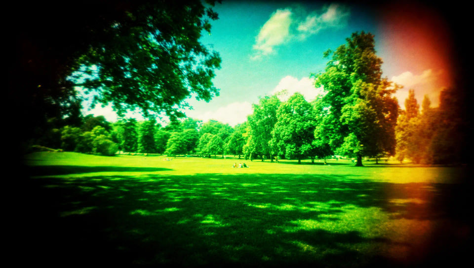 Cross-processed park scene