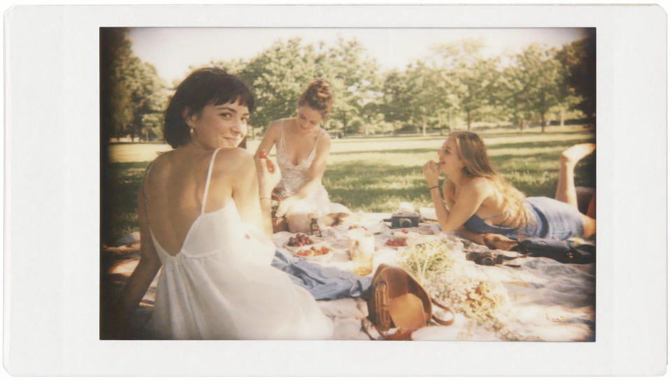 Sunny picnic instant snapshot