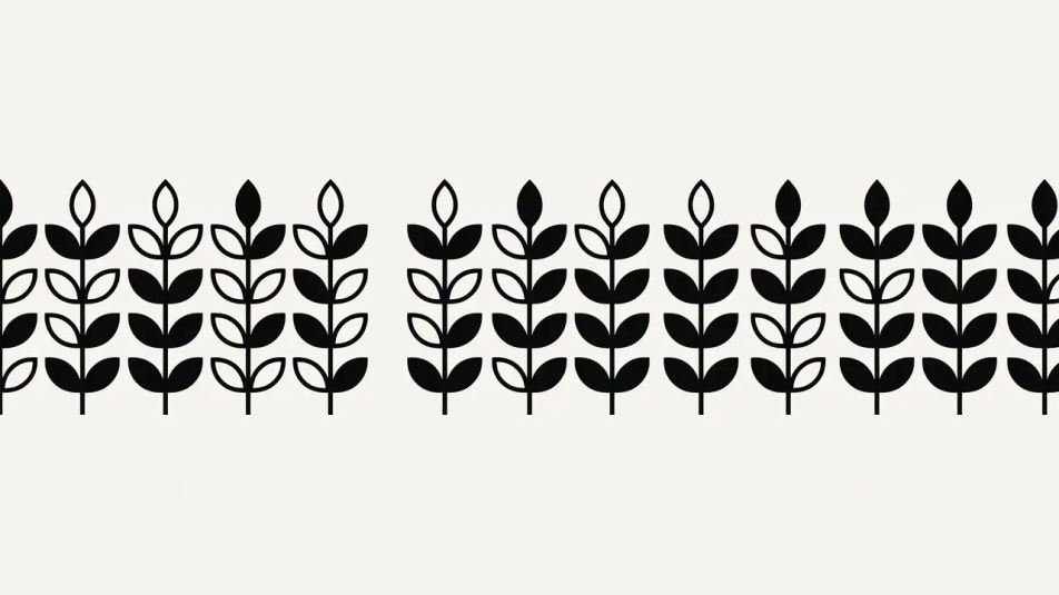 植物排版